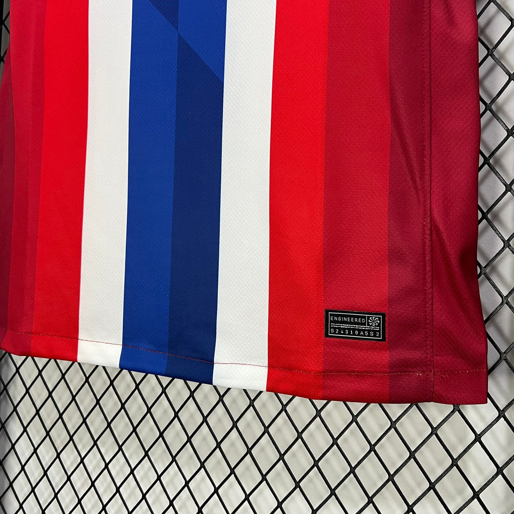 #10 ﾃ賄egaard Norway Home Jersey 2024/2025